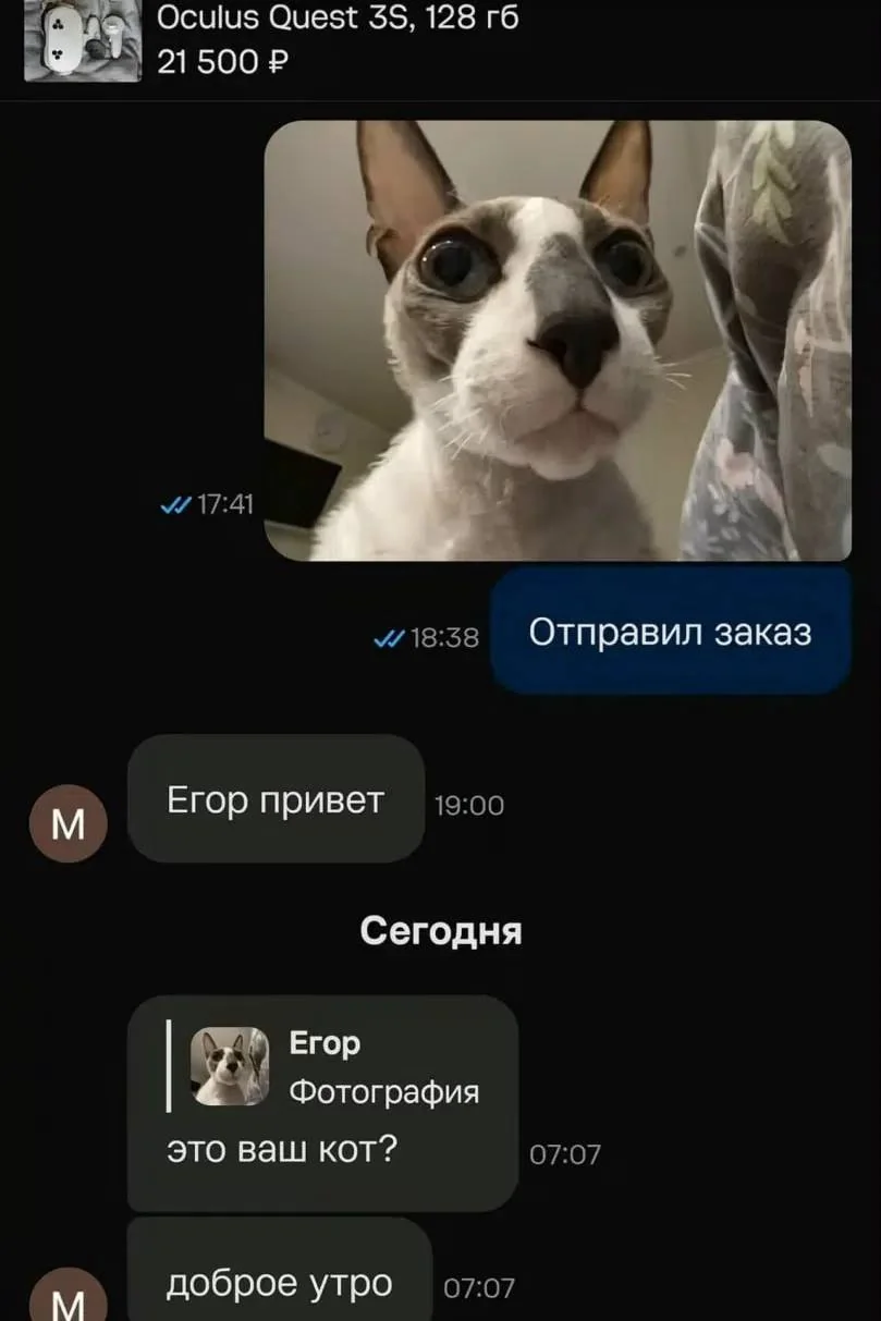 © t.me/tgborsch