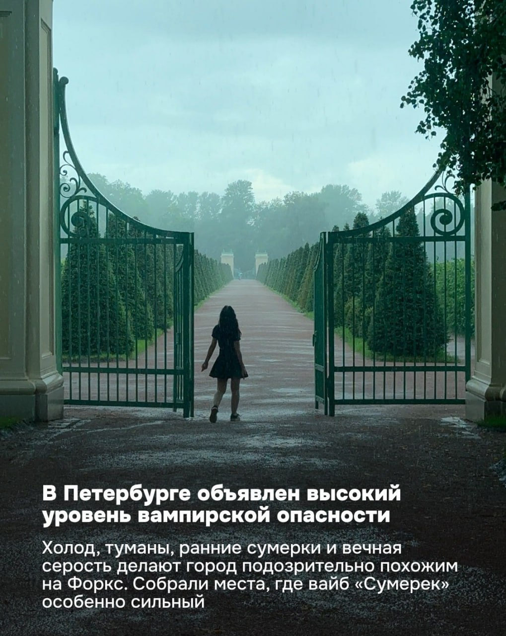 В Сети собрали подборку питерских мест, которые помогут прочувствовать вайб «Сумерек».