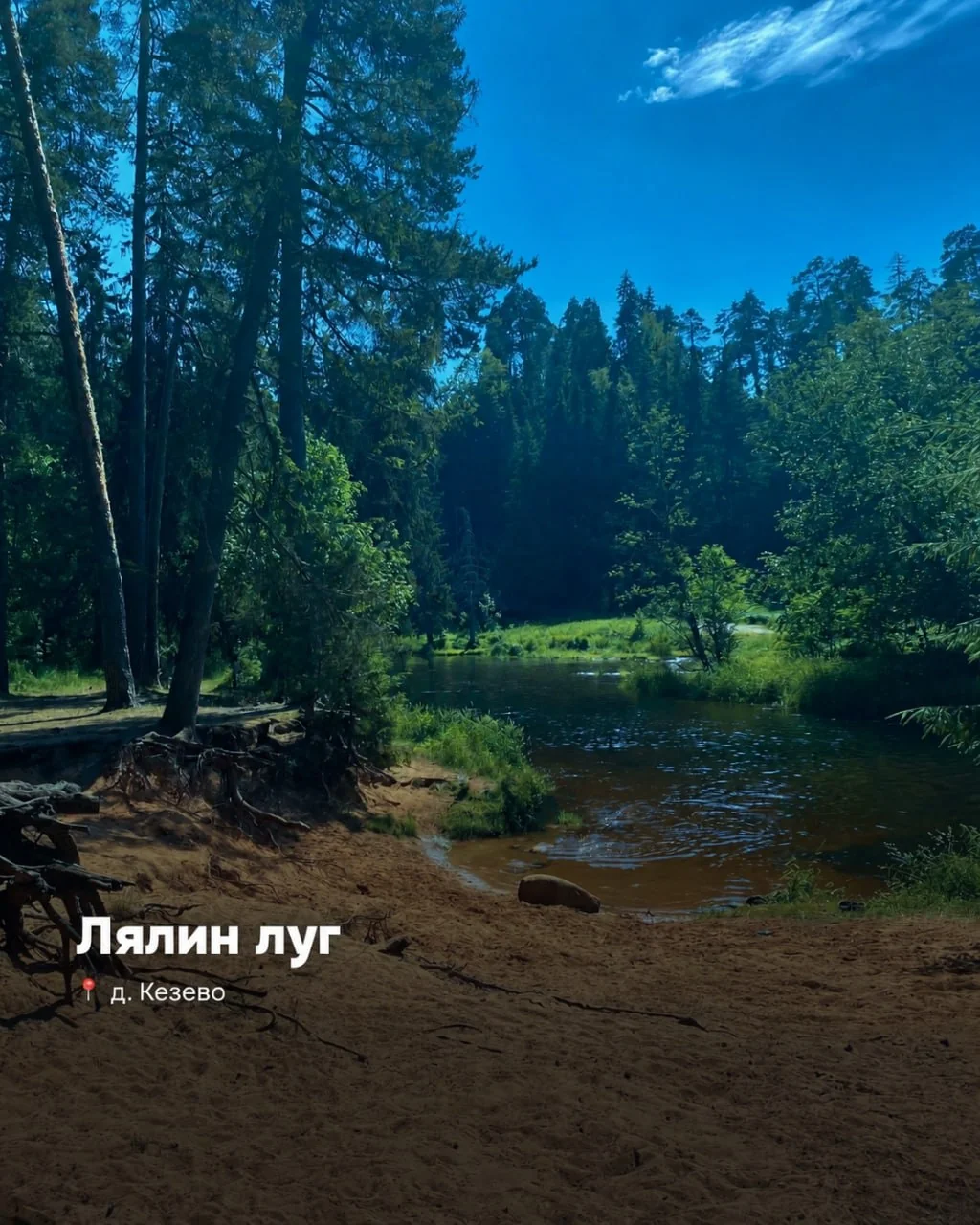 Ляпин луг. Уединённый и открытый луг посреди леса отлично подходит для единения с природой. © t.me/notypicmarketing