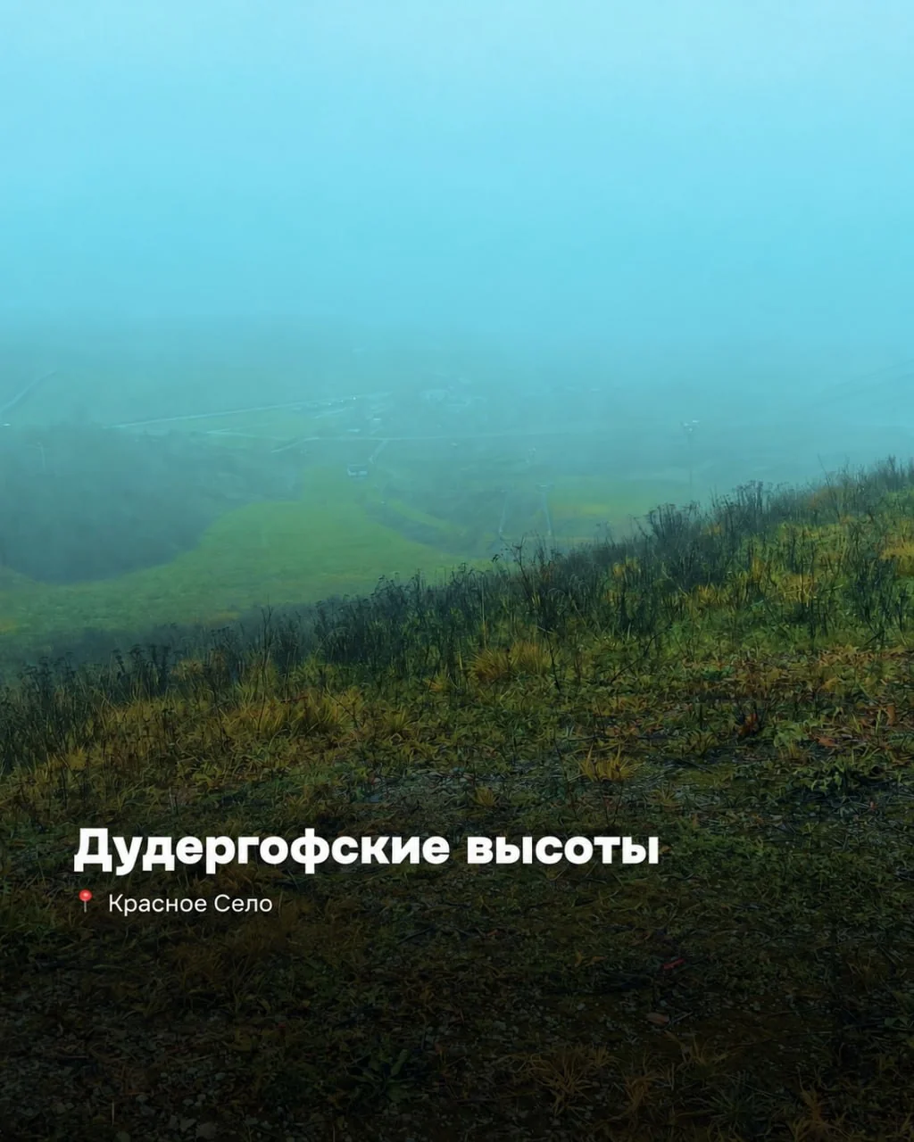 Дудерговские высоты. Холмы, широколиственный лес и сумрачная атмосфера — место, о котором до сих пор слагают легенды. © t.me/notypicmarketing