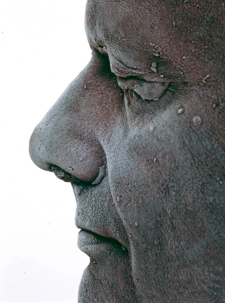 © Marc Quinn