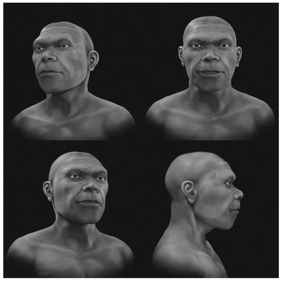 Реконструкция лица раннего Homo sapiens из Джебель-Ирхуд.  Cicero Moraes et al. / Heritage, 2026 / CC BY 4.0