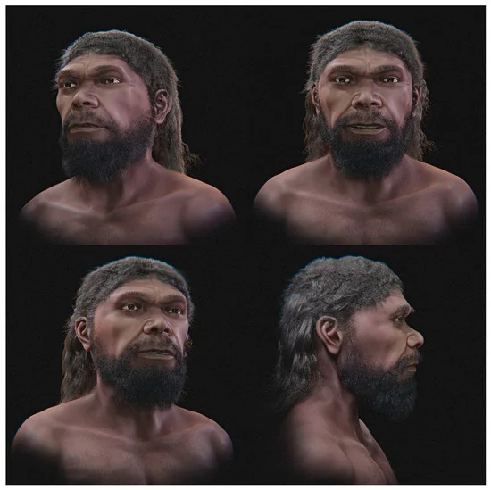 Реконструкция лица раннего Homo sapiens из Джебель-Ирхуд. Cicero Moraes et al. / Heritage, 2026 / CC BY 4.0
