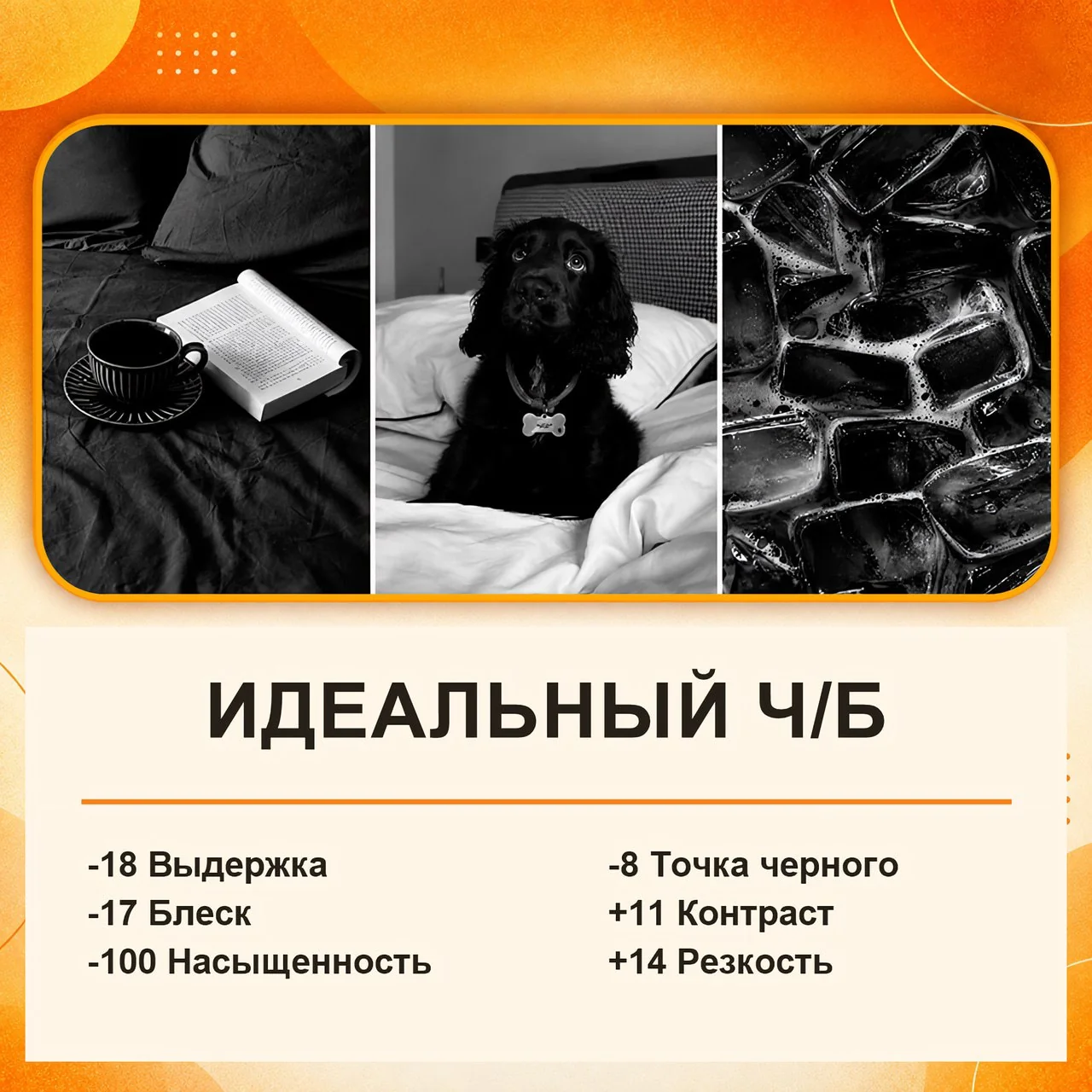 © t.me/Lepragram