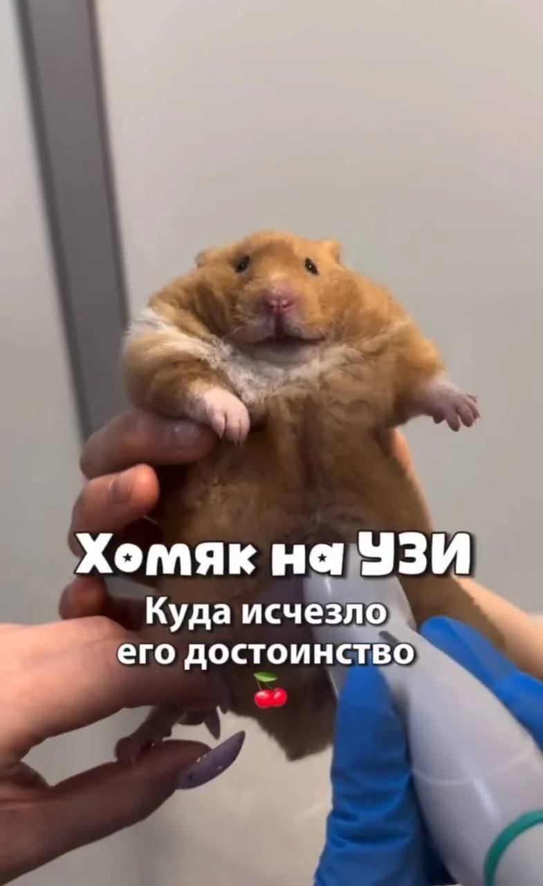 © t.me/m***k