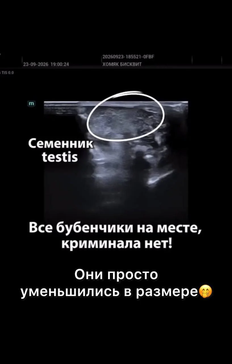 © t.me/m***k