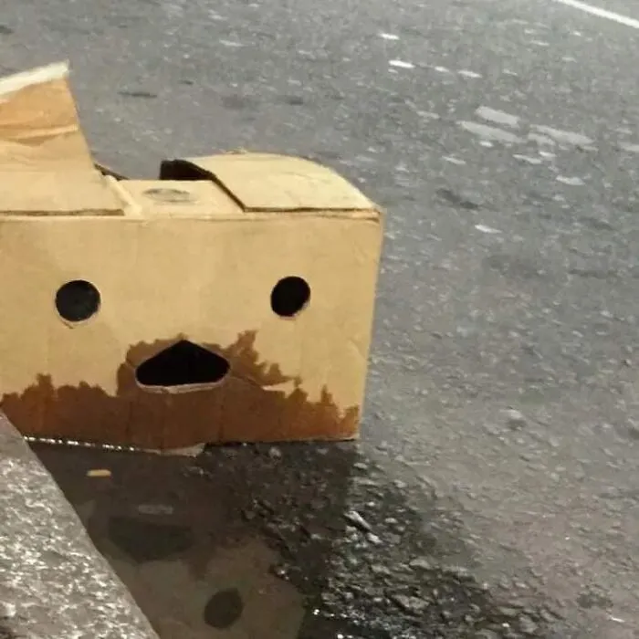 «Ой, у меня теперь борода!»