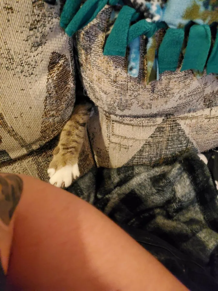 Диванная атака.