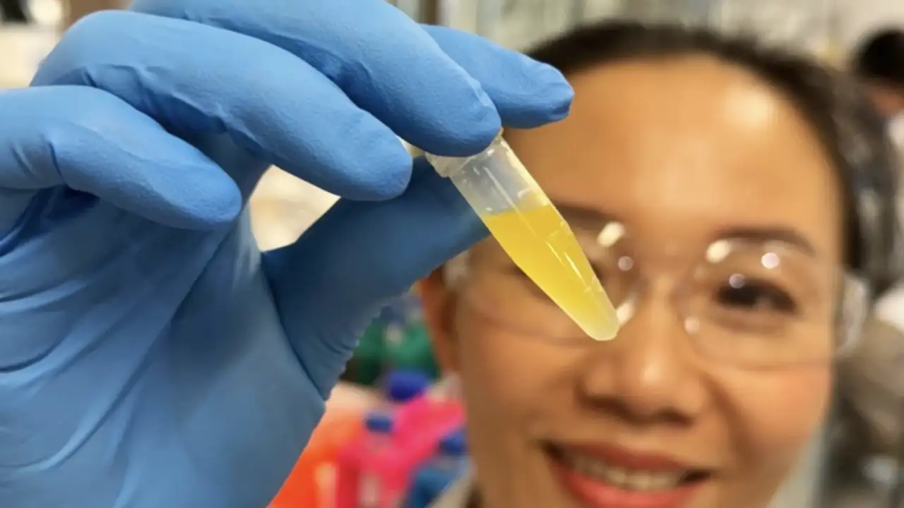 © Will Wright/RMIT University