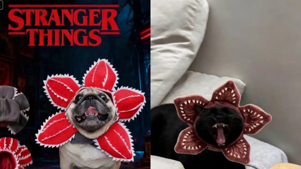 Собака и кошка в костюме демогоргона.