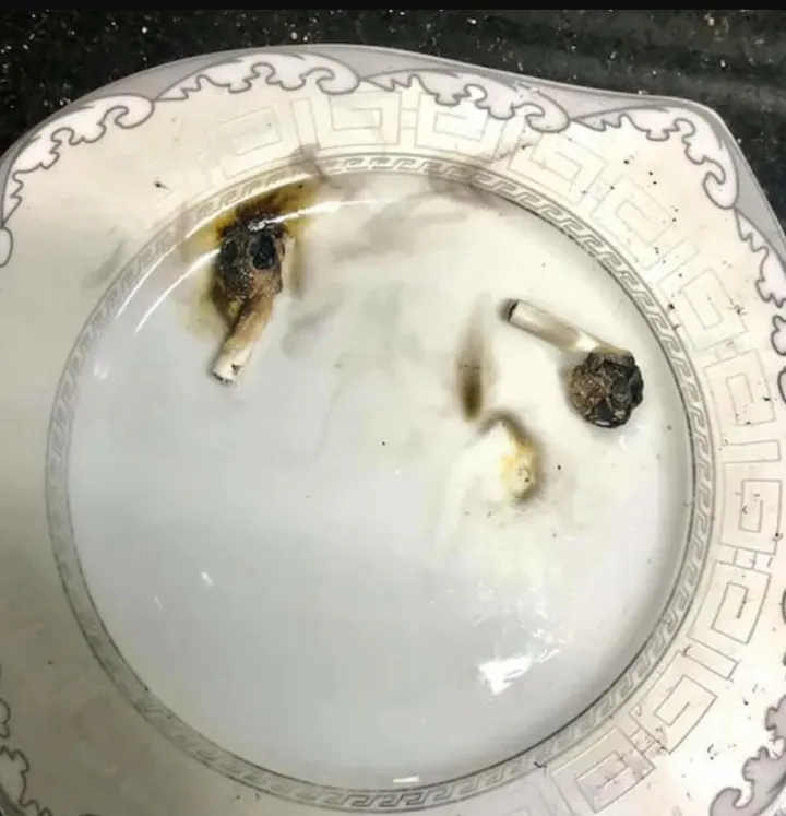 «Моя девушка намочила свои наушники и решила положить их в микроволновую печь, чтобы высушить».