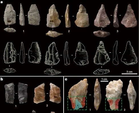 Инструменты, найденные на месте раскопок в Шию.
