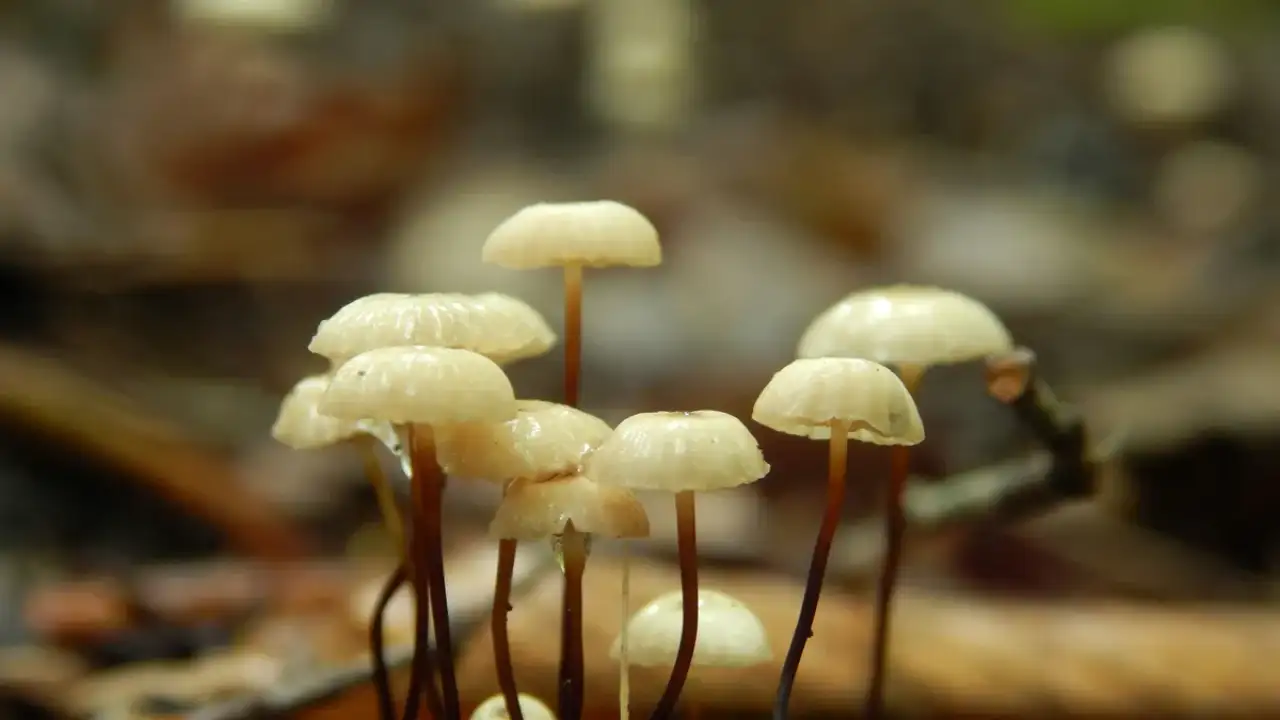 ©  Maddy Weiss/Unsplash