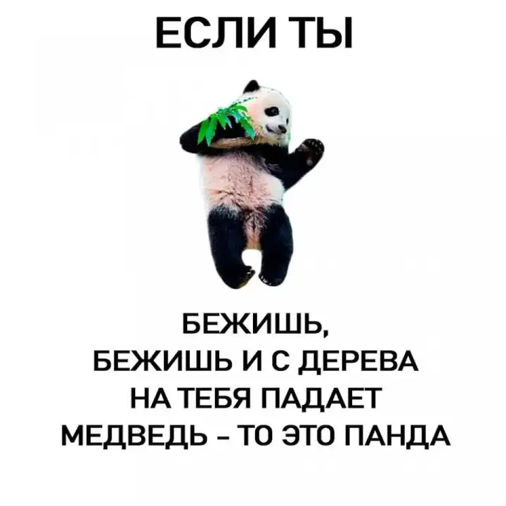 Как отличить панду. Как отличить панду.