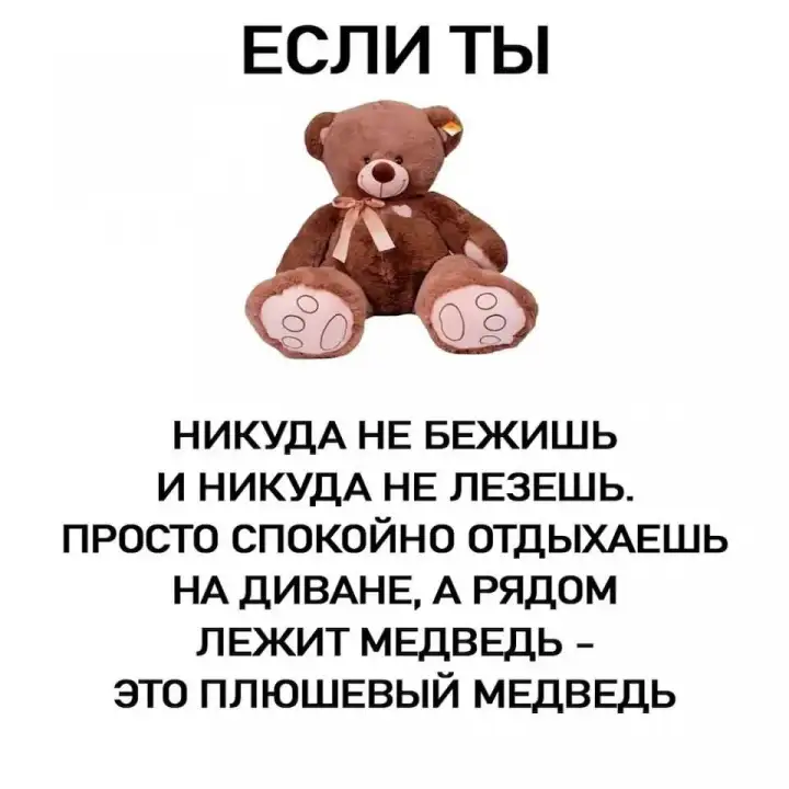Как отличить плюшевого медведя. Как отличить плюшевого медведя.