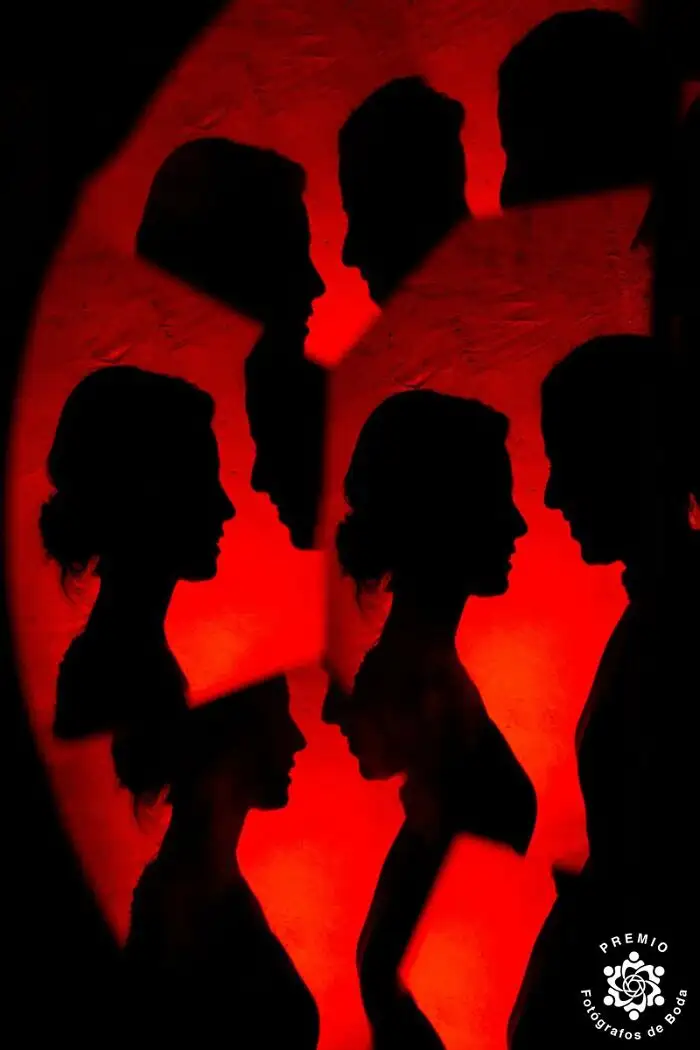 Любовь, отраженная в фрагментах — Тысяча силуэтов, одна история.