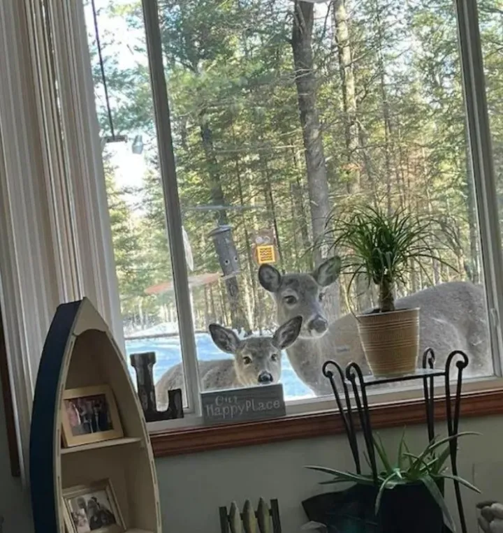 «Никакой приватности».