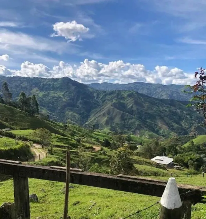 «Вид из дома моей бабушки в Антиокии, Колумбии».