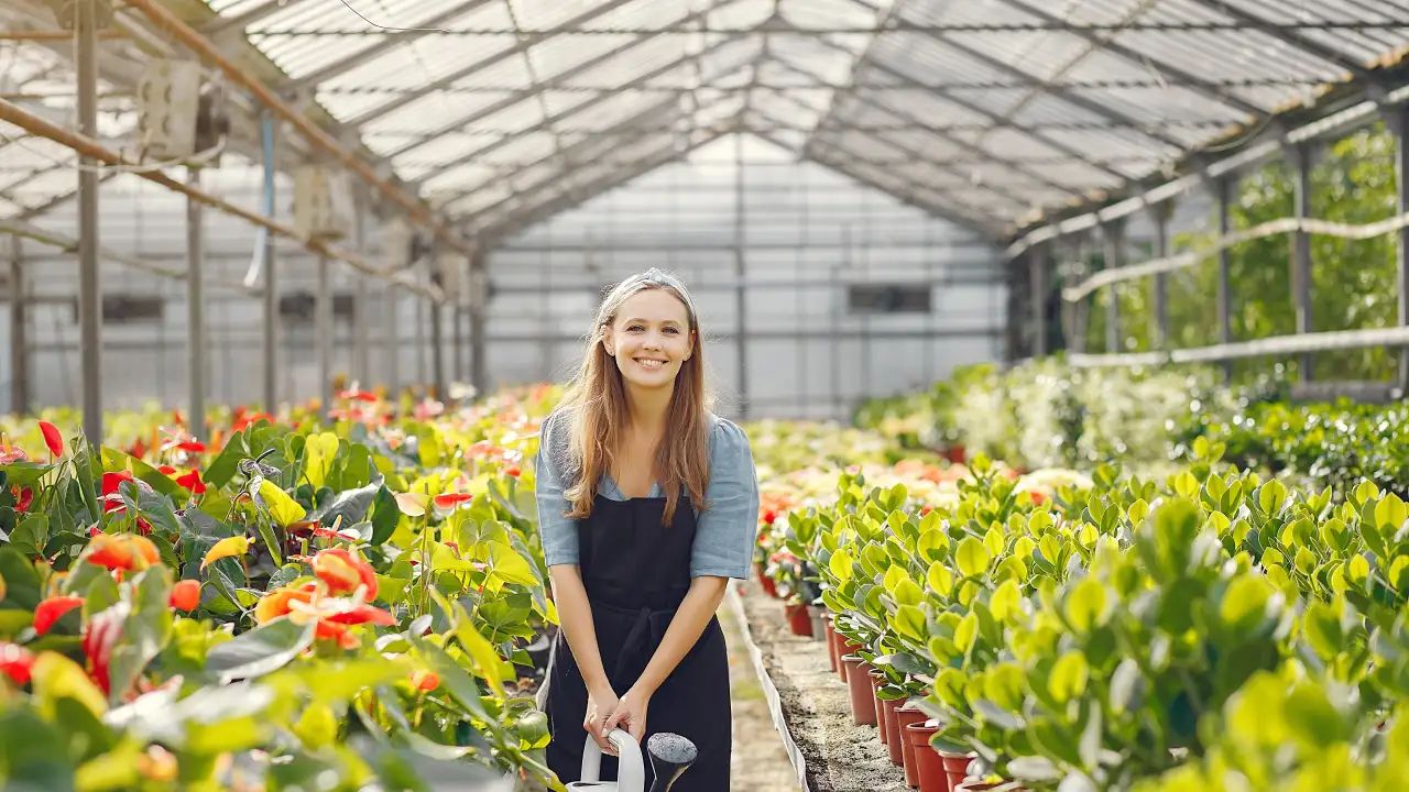 Полив и обработка теплицы осенью