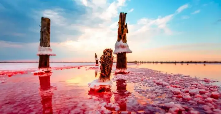 Озеро Сасык-Сиваш. Озеро Сасык-Сиваш.