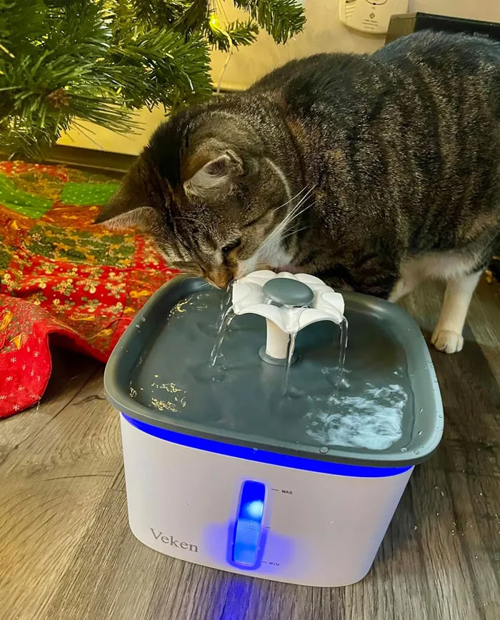 Ультратихий фонтанчик для домашних животных, который подает чистую фильтрованную воду.