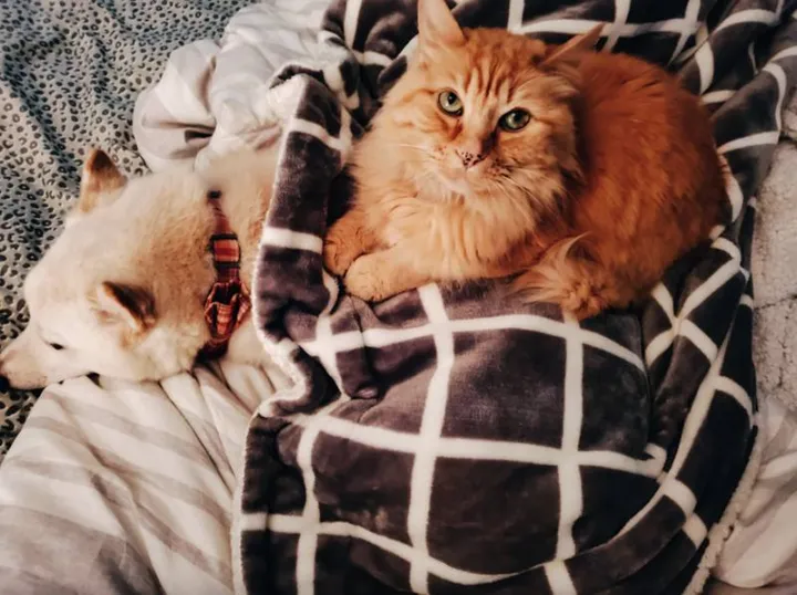 «Лео - профессиональная массажистка!»