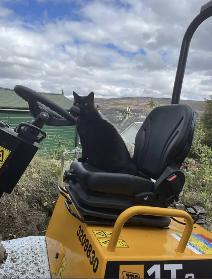 «Профессиональный водитель мини-экскаватора».