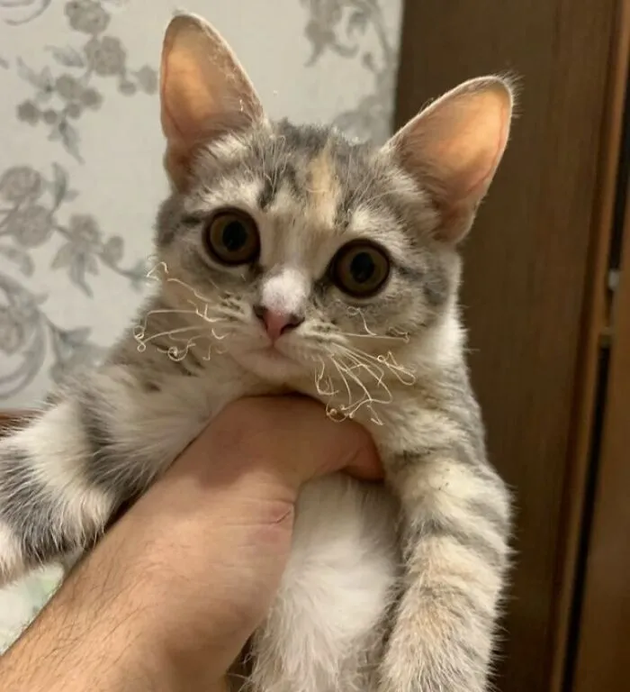 «Теперь он знает, как пахнет огонь».