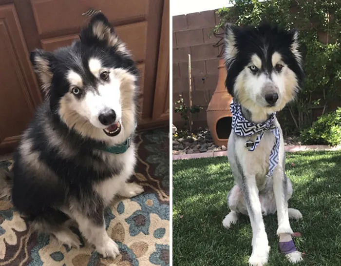 «Он превратился из счастливого в по-настоящему безумного».