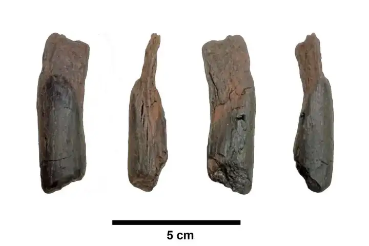 Этот отщеп был предназначен для тонкой работы.