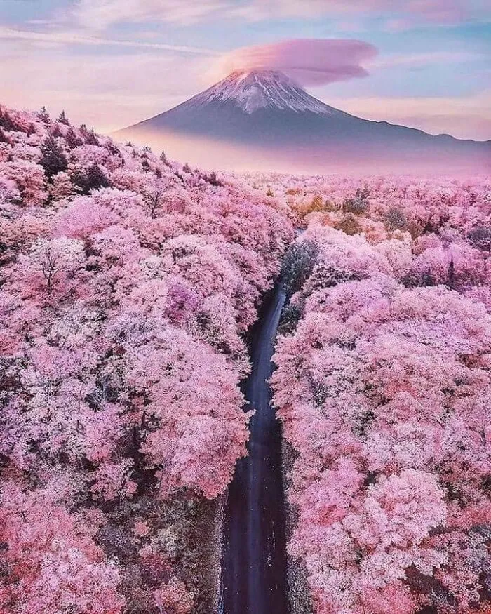 Гора Фудзи.