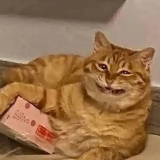 Это не лицемерие. Это — адаптация.