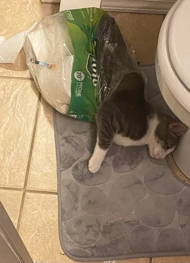 «Вышел из душа ради этого».