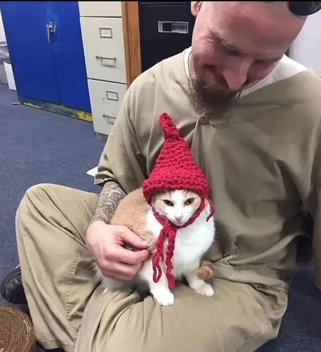 Милота 1. Милота 1.