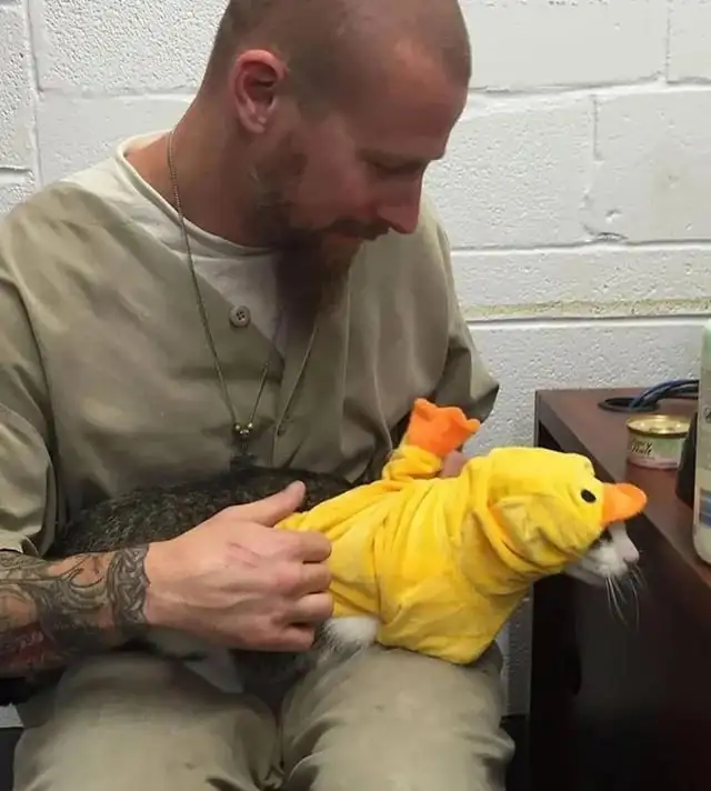 Милота 2. Милота 2.