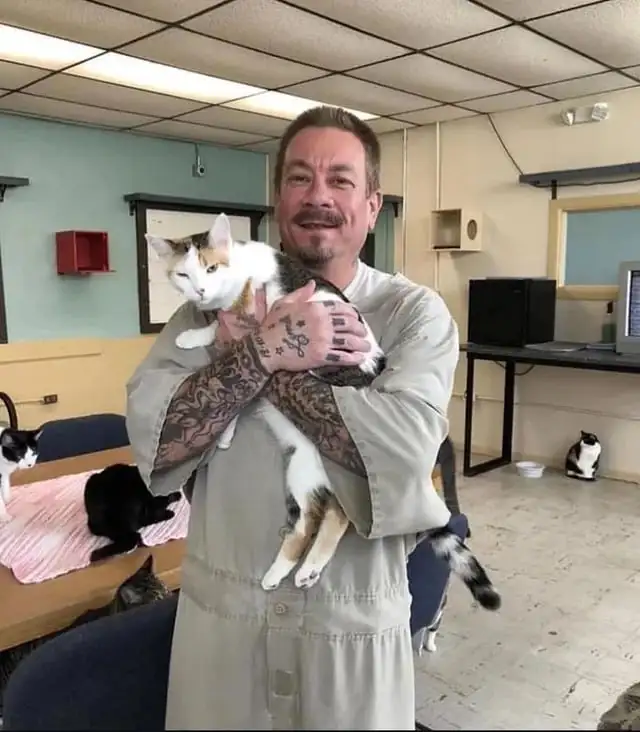 Милота 3. Милота 3.