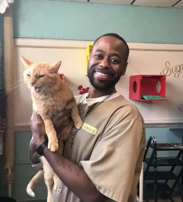 Милота 4. Милота 4.