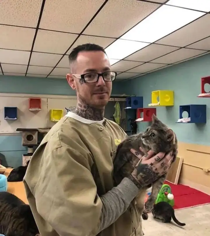 Милота 5. Милота 5.