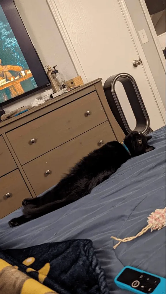 Зачем я здесь?