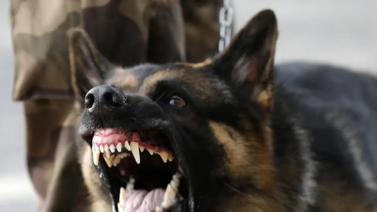 © bolgegundem.com.tr