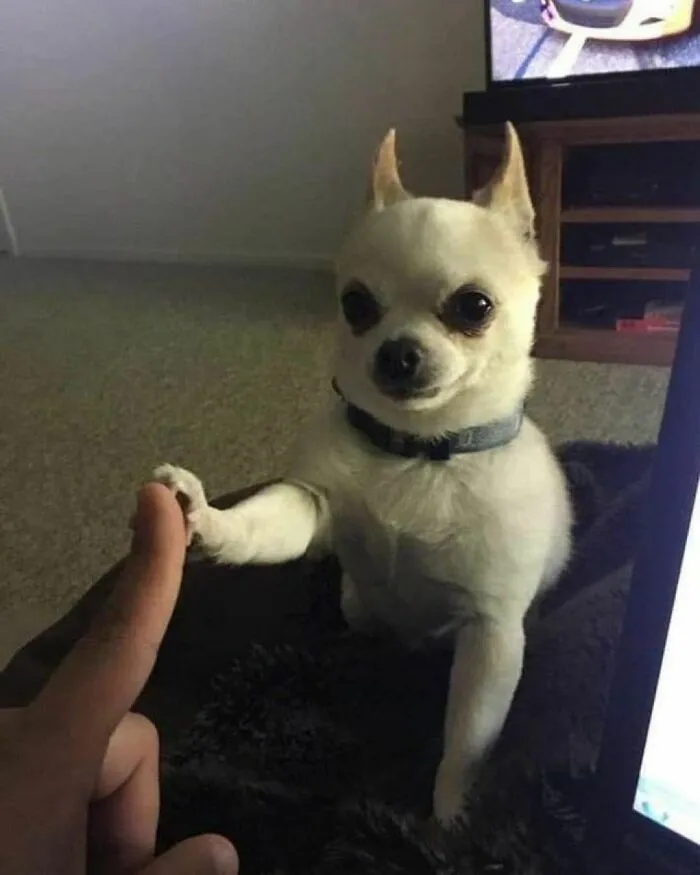 Мини-пятюня.