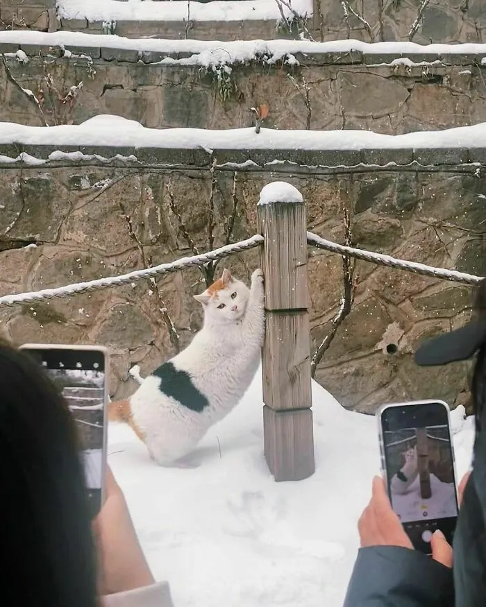 «Зачем вы меня снимаете?»