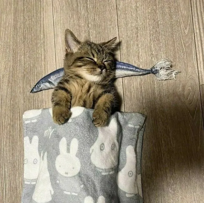 Отличная подушечка.