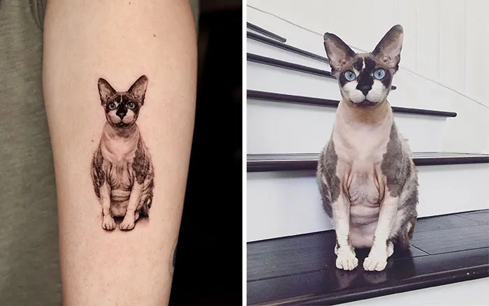 Каждая деталь внешности котика отражена в татуировке.