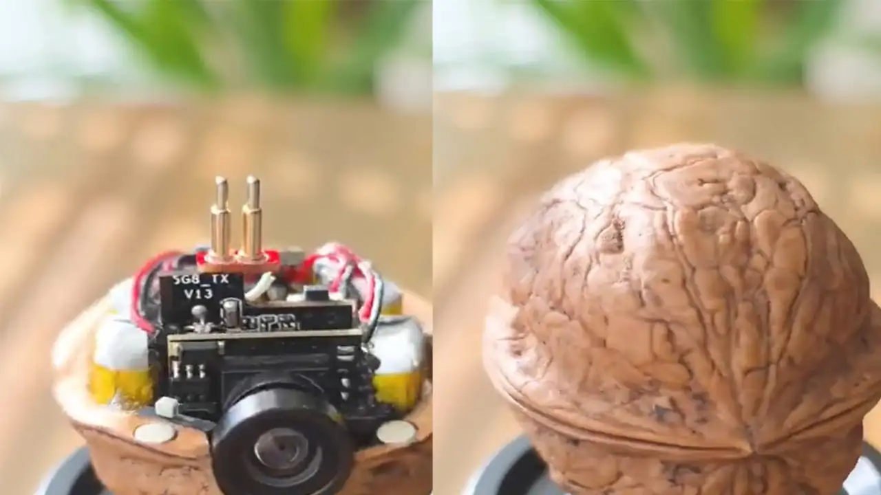 Камера в грецком орехе.