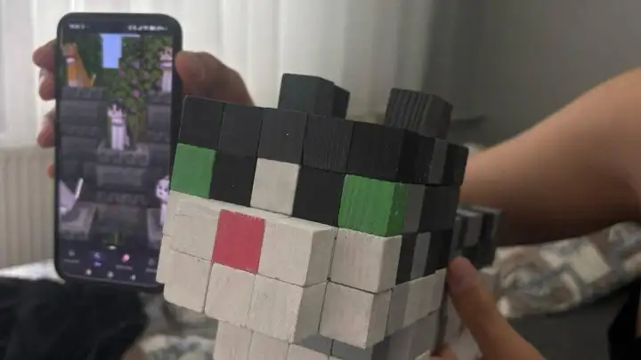 Признание в любви через Minecraft: парень сделал копию их кота из игры для девушки