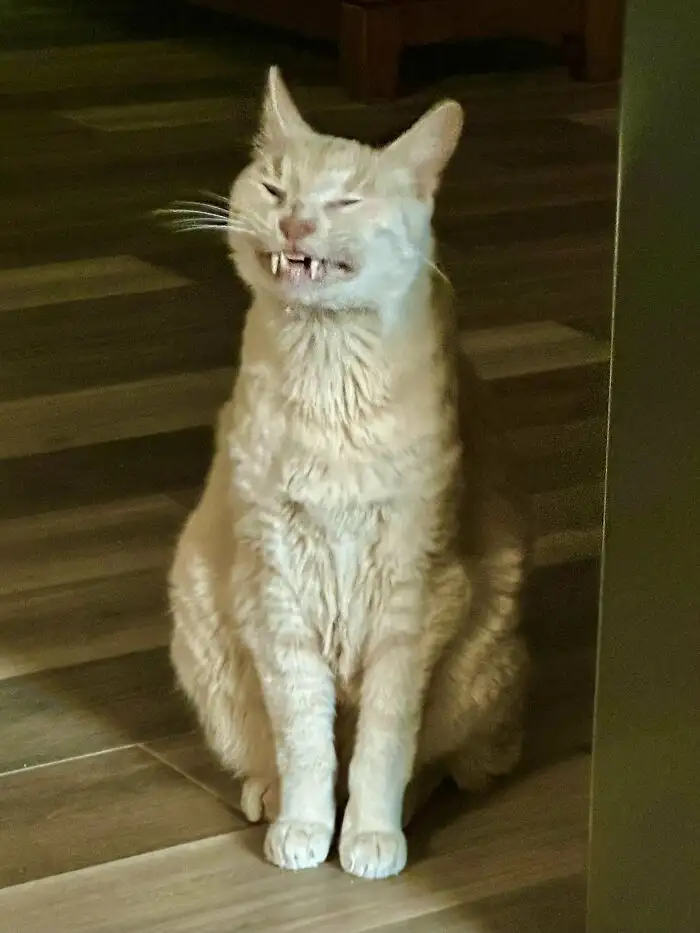 «Ы-ы-ы-ы-ы». «Ы-ы-ы-ы-ы».
