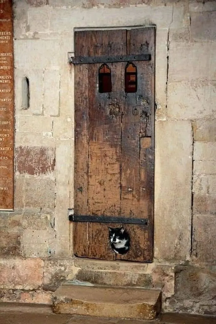 Старейшая кошачья дверь в Эксетерском соборе, Великобритания.
