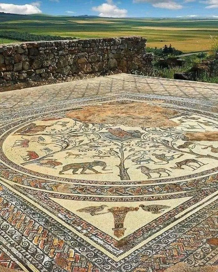 Остатки мозаики с археологического памятника Волюбилис на окраине Мекнеса, Марокко.