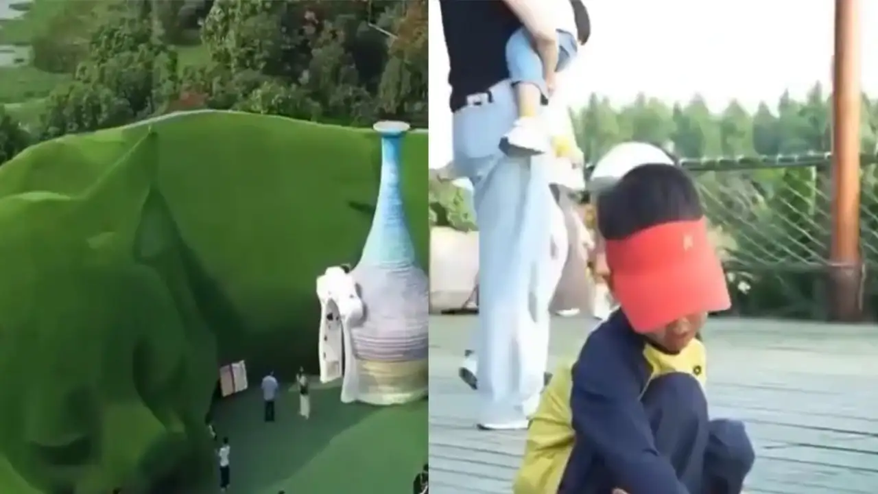 Парк для бездомных котиков.